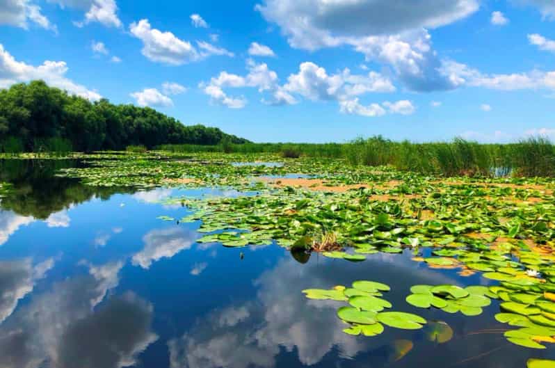 Private Tour From Bucharest to Danube Delta 2 Days Tour - Danube Delta Significance