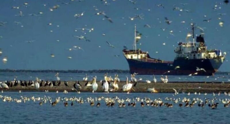 Private Tour From Bucharest to Danube Delta 2 Days Tour - Itinerary