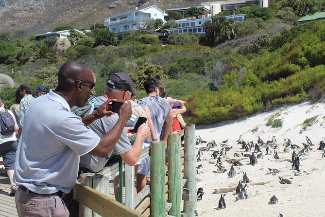 Private Tour From Cape Town to Cape of Good Hope Penguins Plus Wine Tasting F/D - Booking Details