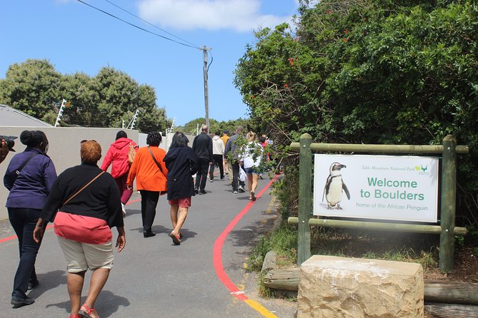 Private Tour From Cape Town to Cape of Good Hope Penguins Plus Wine Tasting F/D - Customer Reviews