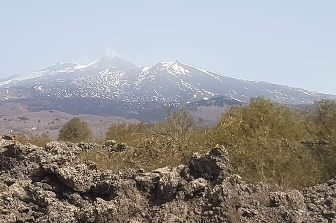 Private Tour From Catania to Etna Naxos and Taormina - Customized Experiences
