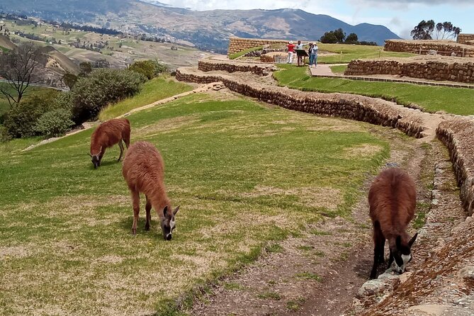 Private Tour From Cuenca to Ingapirca Ruins With Lunch - Key Points