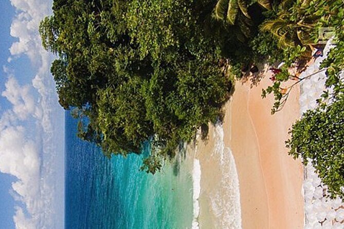 Private Tour From Falmouth to Ocho Rios Blue Hole and Beach - Enjoying the Beach