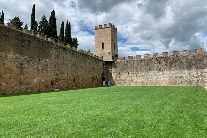 Private Tour From Florence to Pisa and Cinque Terre - Exploring Pisa and Cinque Terre