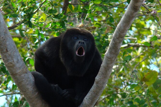 Private Tour From Guayaquil to Churute Ecological Reserve - Key Points