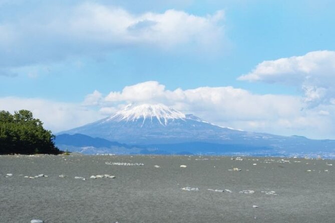 Private Tour From Kunozan Toshogu Shrine to Miho Matsubara - Participation and Travel Time