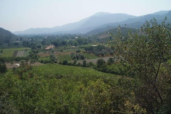 Private Tour From Kusadasi Port to Ephesus and Kirazli Village - Pricing and Tour Details