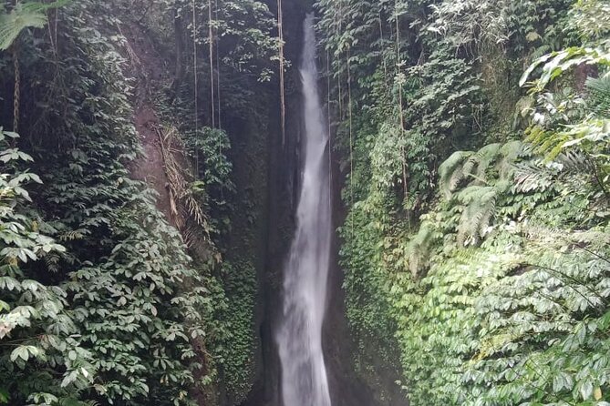 Private Tour From Leke-Leke Waterfall to Jatiluwih Rice Terrace - Diving Into the Waterfalls Refreshing Pool