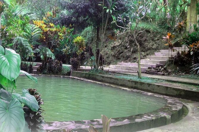 Private Tour From Leke-Leke Waterfall to Jatiluwih Rice Terrace - Discovering the Majestic Jatiluwih Rice Terraces