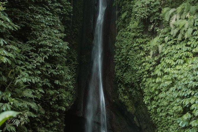Private Tour From Leke-Leke Waterfall to Jatiluwih Rice Terrace - Embracing the Serene Surroundings of Jatiluwih