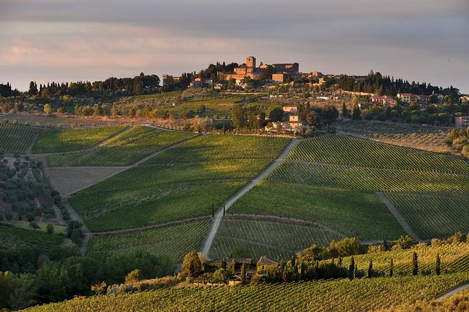 Private Tour From Livorno Port to Chianti Wine Region - Key Points
