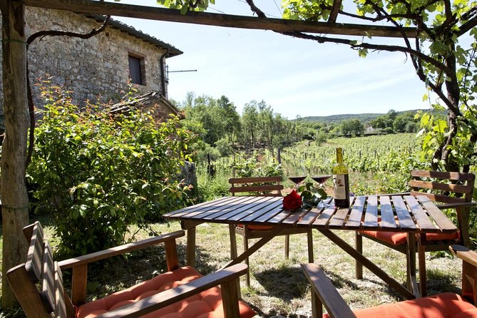 Private Tour From Livorno Port to Chianti Wine Region - Customer Reviews