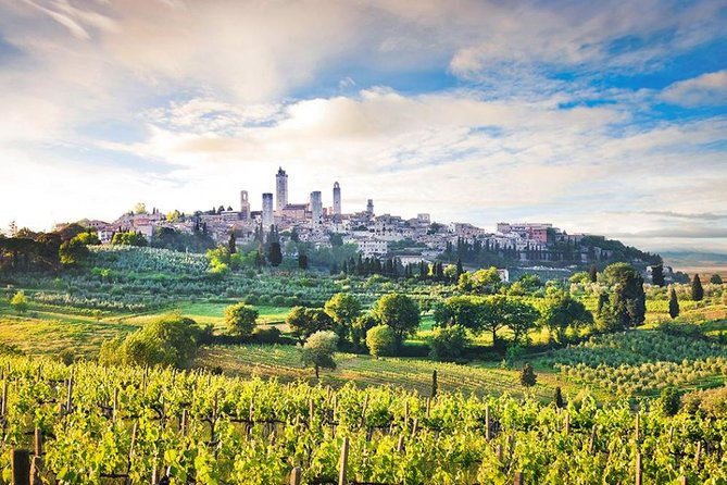 Private Tour From Livorno Port to San Gimignano & Volterra - Key Points