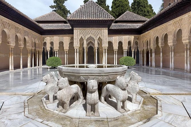 Private Tour From Malaga to the Alhambra Palace and Granada for up to 8 Persons - Accessibility and Requirements