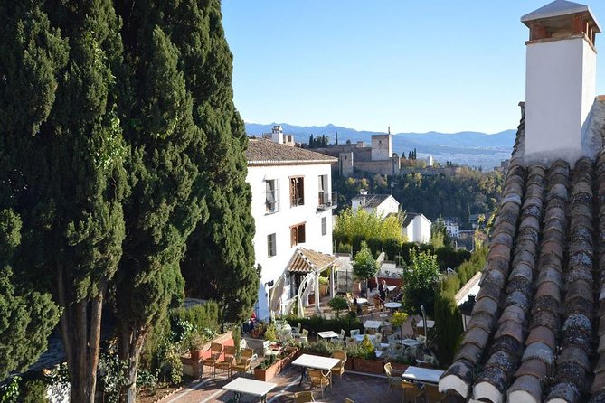 Private Tour From Malaga to the Alhambra Palace and Granada for up to 8 Persons - Itinerary and Highlights