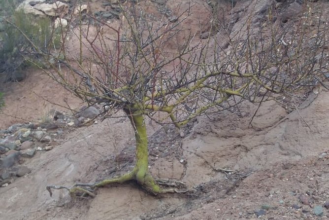 Private Tour From Mendoza to the Divisadero Largo - Unique Landscapes and Erosion Formations