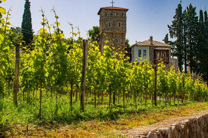 Private Tour From Montenegro: Trebinje & Tvrdos Monastery W/ Wine & Food Tasting - Visiting Tvrdos Monastery