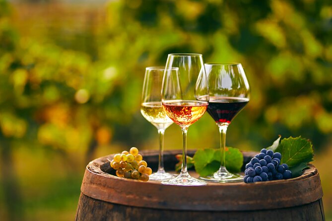 Private Tour From Montenegro: Trebinje & Tvrdos Monastery W/ Wine & Food Tasting - Sampling Local Cuisine
