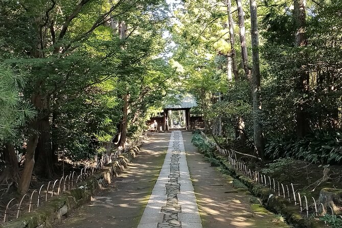 Private Tour From North Kamakura Temples & Shrine - Professional Local Tour Guide