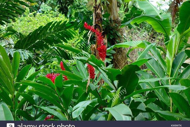Private Tour From Ocho Rios To Blue Hole & Konoko Falls - Pickup and Meeting Details