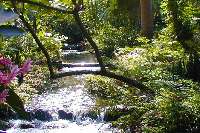 Private Tour From Ocho Rios To Konoko Falls And Garden and Shopping - About Your Stay