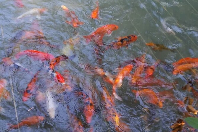 Private Tour From Ocho Rios To Konoko Falls And Garden and Shopping - Transportation and Logistics