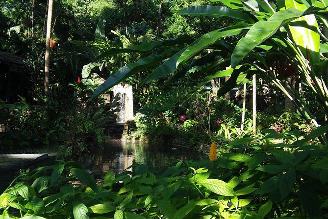 Private Tour From Ocho Rios To Konoko Falls And Garden and Shopping - Participant Requirements
