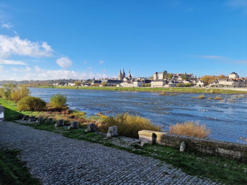 Private Tour From Paris to Loire Castles & Michelin Lunch - Just The Basics