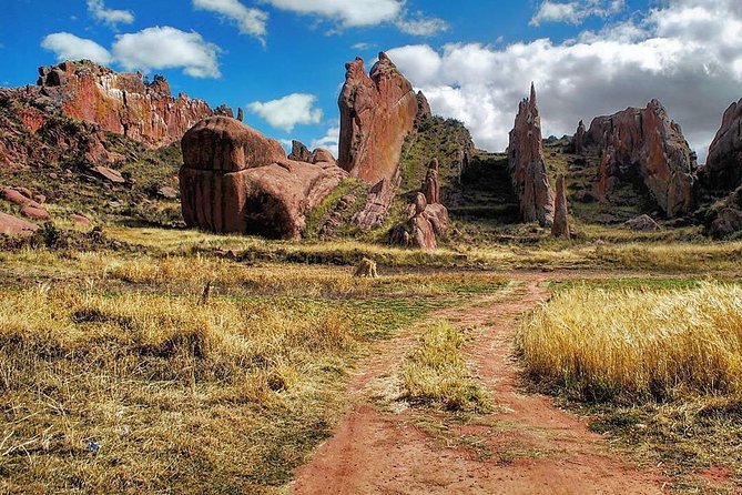 Private Tour From Puno to Tiwanaku - Visiting Inca Sites