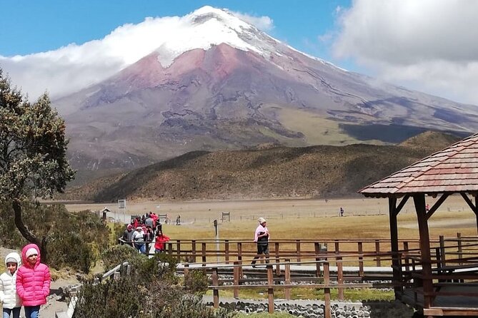 Private Tour From Quito to Cotopaxi Volcano + Rose Plantation - Witnessing Limpiopungo Lagoon