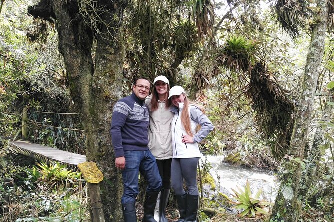 Private Tour From Quito to Papallacta Hot Springs + Ticket Included - Highlights of the Private Tour