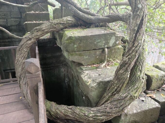 Private Tour From Siem Reap to Koh Ker, Beng Mealea Temple - Pickup and Return to Siem Reap