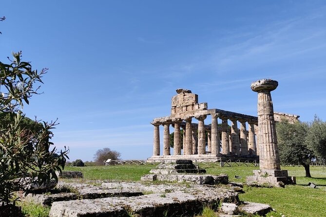 Private Tour From Sorrento/Positano to Paestum and Mozzarella Tour - Buffalo Mozzarella Experience