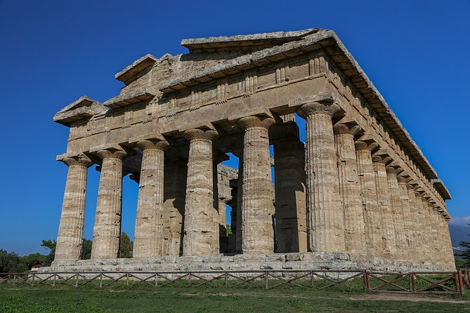 Private Tour From Sorrento/Positano to Paestum and Mozzarella Tour - Vehicle and Amenities