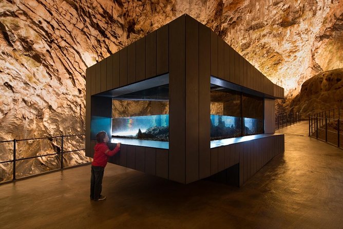 Private Tour From Zagreb: Ljubljana, Postojna & Predjama Castle - Inclusions and Exclusions