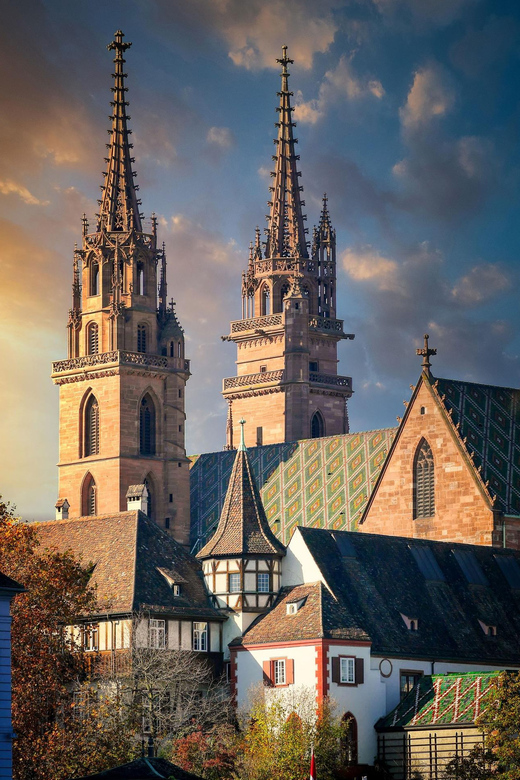 Private Tour From Zurich to Basel With and Back - Key Points