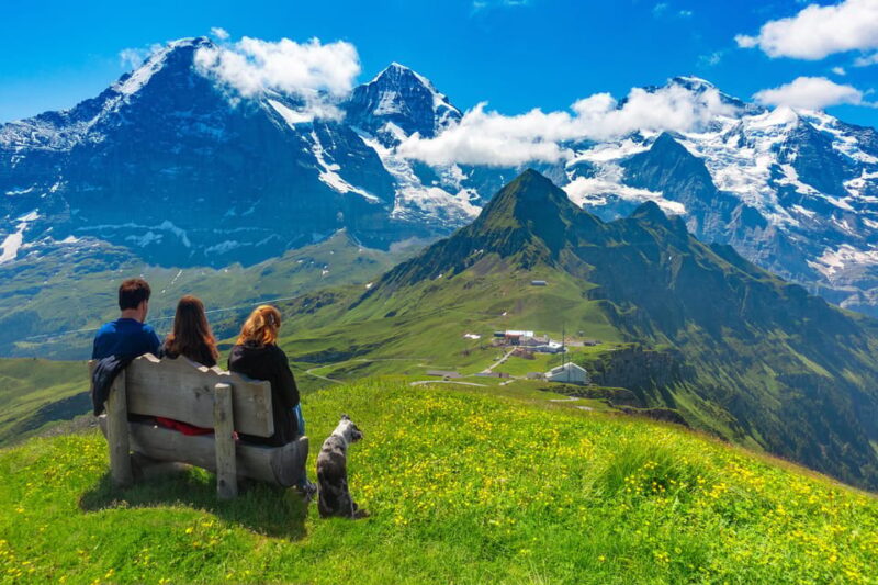 Private Tour From Zurich to Heidiland & Vaduz - Driver and Vehicle Information