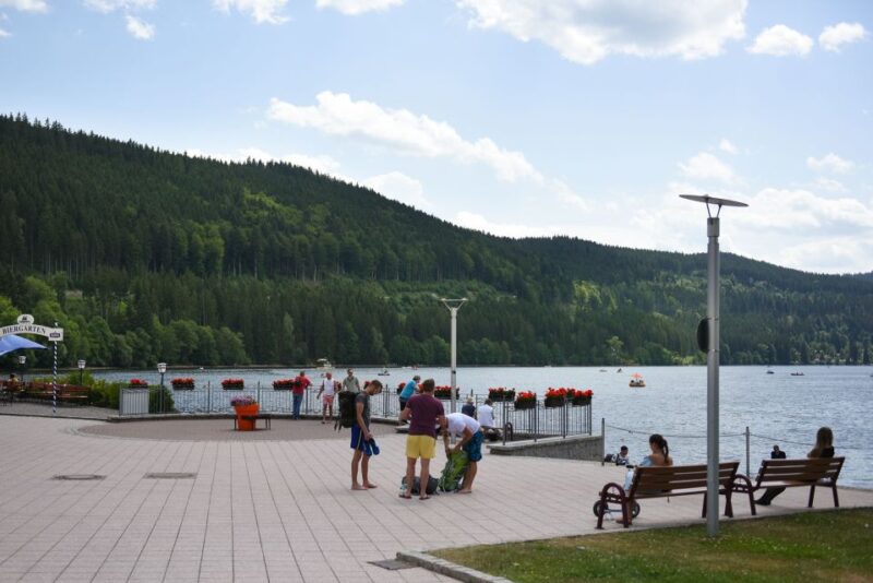 Private Tour From Zurich to Rhine Falls and Black Forest - Inclusions