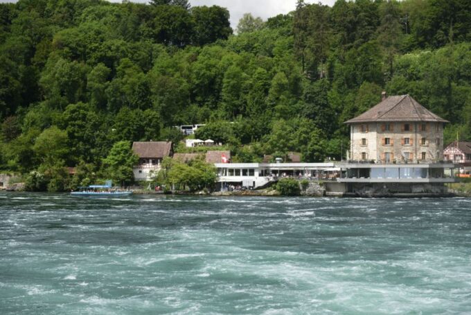 Private Tour From Zurich to Rhine Falls and Black Forest - Language Options