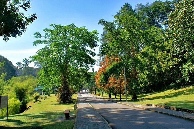 Private Tour: Full Day Center Penang Island Tour - Pickup and Scheduling