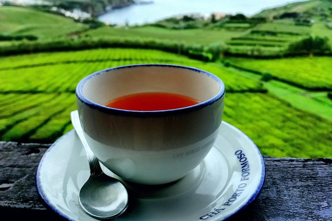 Private Tour Full Day Furnas 1 to 4 People - Booking and Cancellation Policy