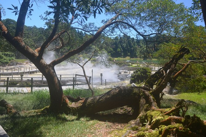 Private Tour Full-Day Furnas: Lake, Fumaroles and Thermal Pools - Customer Ratings and Reviews