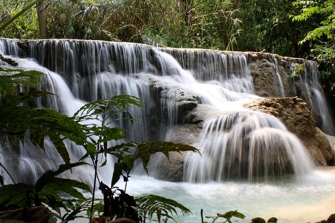 Private Tour Full-day Morning Market, Villages and Scenic Kuang Si Waterfall - Tat Kuang Si Bear Sanctuary