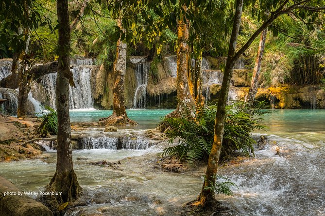 Private Tour Full-day Morning Market, Villages and Scenic Kuang Si Waterfall - Tour Inclusions and Feedback