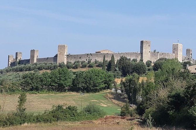 PRIVATE Tour: Full-Day Volterra & San Gimignano With Wine Tasting Experience - Customer Reviews and Ratings