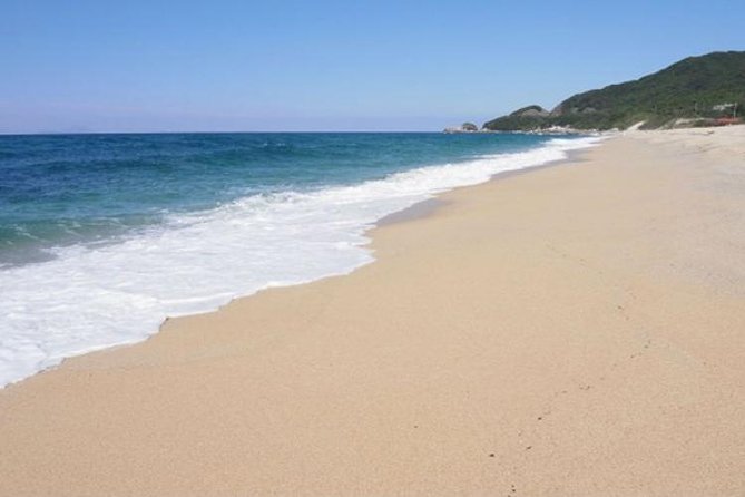 Private Tour: Full-Day Walking Tour With Professional Local Guide in Yakushima Island - Customizable Experience