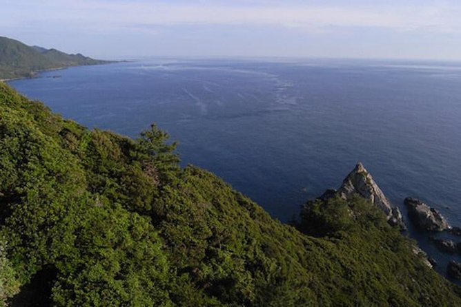 Private Tour: Full-Day Walking Tour With Professional Local Guide in Yakushima Island - Included Amenities