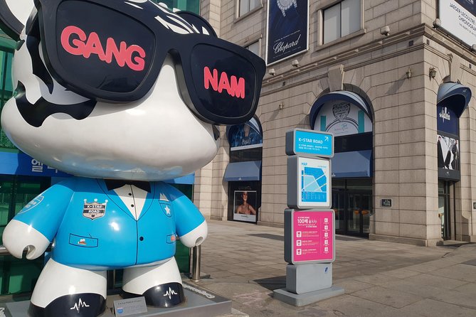 Private Tour: Gangnam Style Tour - Inclusions
