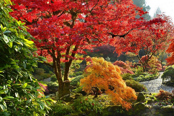 Private Tour: Gardens of Vancouver - Panoramic Views at Queen Elizabeth Park