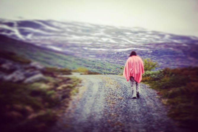 Private Tour Geiranger and Glaciers 1 to 15 People - Inclusions